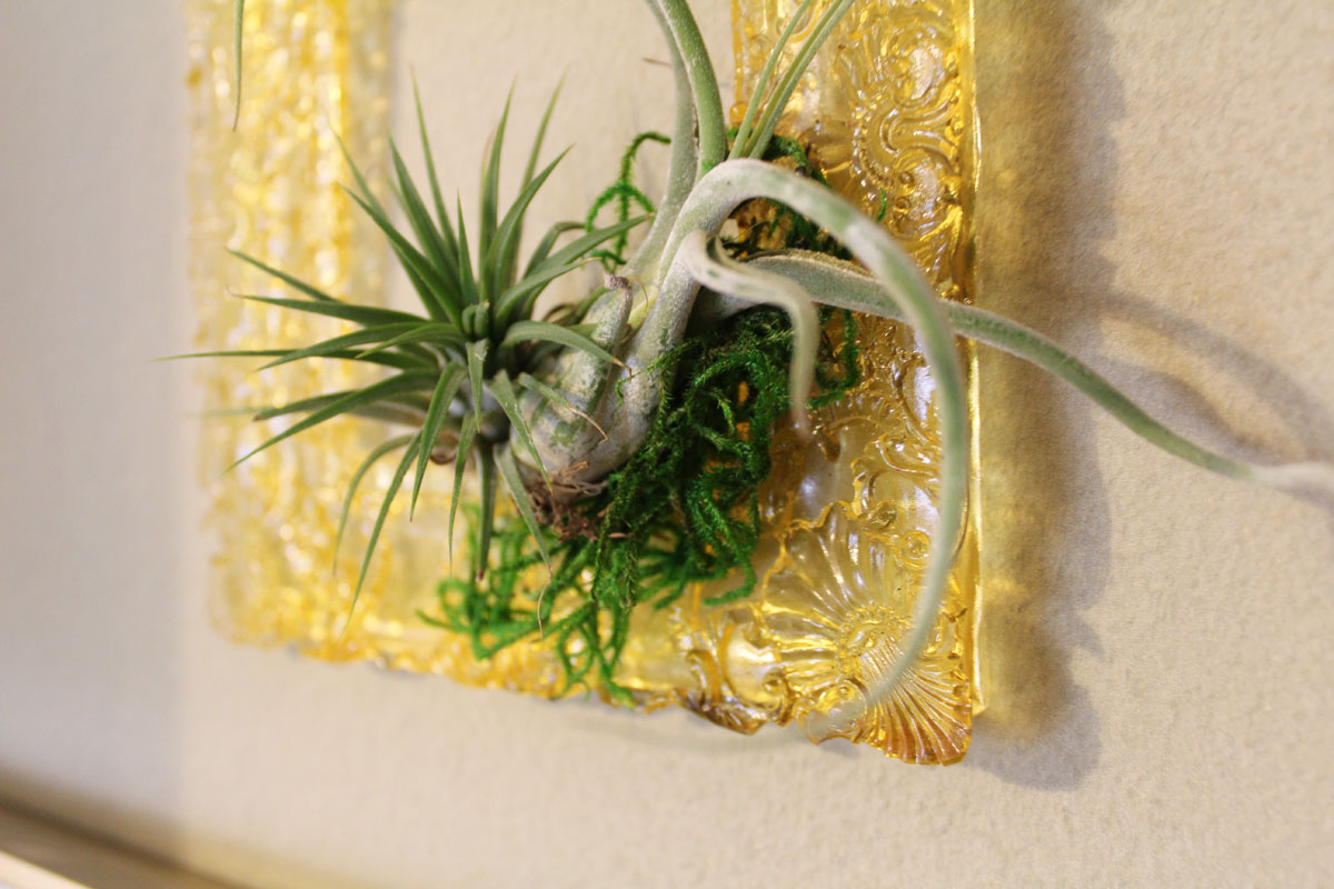diy resin frame | replicate picture frame with resin | make picture frame mold | framed air plants