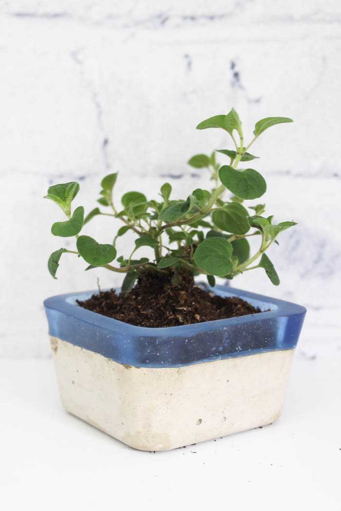 Make your own concrete and resin planter using Envirotex Lite and Easy Mold! Love the colour and textures of this project!