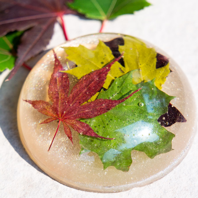 DIY paper weight made with resin and maple leaves. Great gift idea for your boss, a teacher, co-worker or friend. DIY tutorial included.