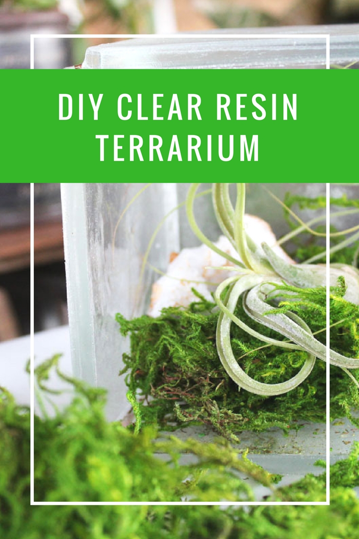 DIY Clear Resin Terrarium tutorial | easy resin terrarium tutorial | air plant display tutorial | clear polyester casting resin #resincrafts #resindiyprojects #resindiy #diyterrarium