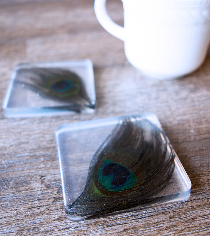 peacock feather coasters