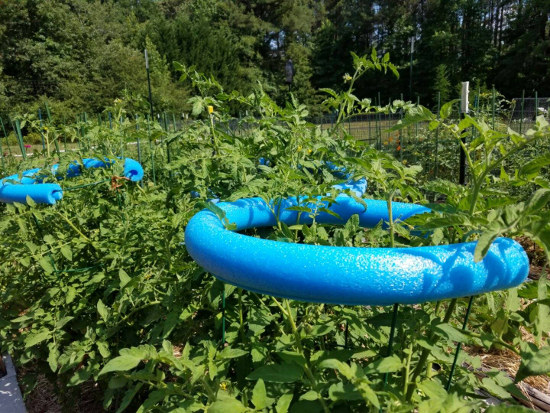 Resin Crafts Blog | DIY Garden Ideas | Garden Hacks | Summer Hacks | Outdoor Ideas | DIY Outdoor | 