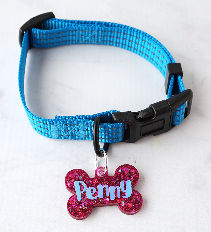 Resin Dog Tag attached to Collar