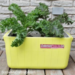 19 DIY Garden and Patio Crafts to Make Your Outdoor Space POP