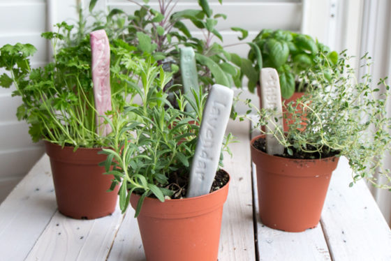 Plant Labels: DIY Stamped Clay Herb Garden Markers