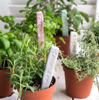 Such a cute idea! DIY Plant labels. Make stamped clay markers for your herb garden.