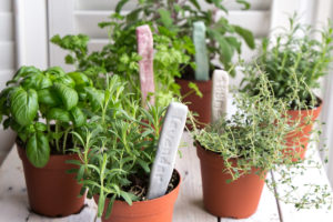 Adorable! DIY Plant labels. Make stamped clay markers for your herb garden.