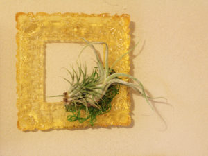 diy resin frame | replicate picture frame with resin | make picture frame mold | framed air plants
