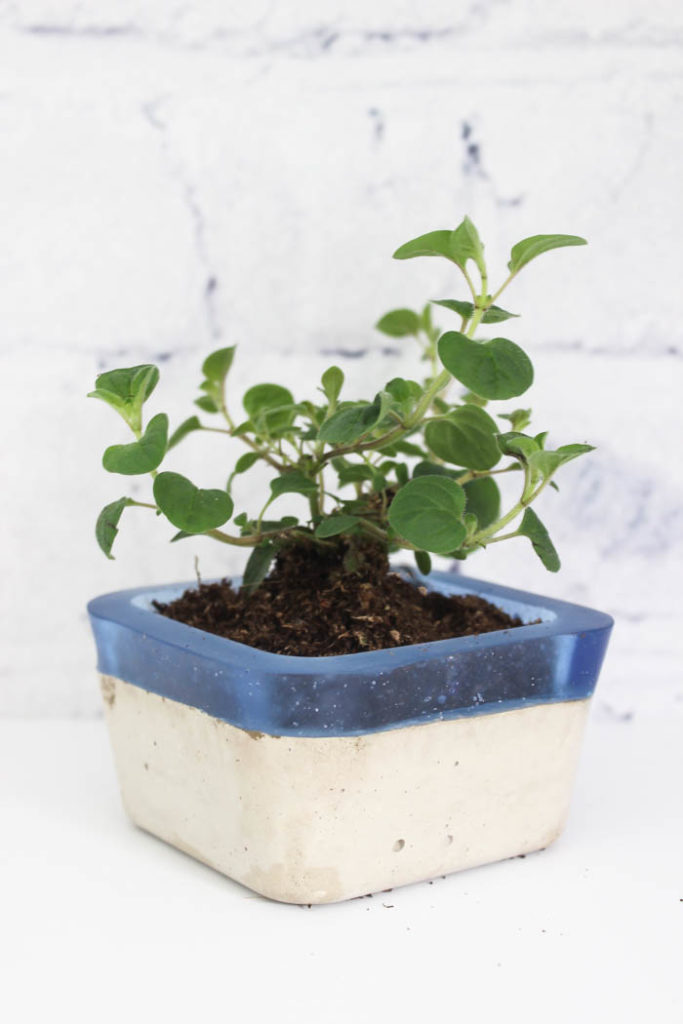 DIY Concrete and Resin Planter Resin Crafts Blog