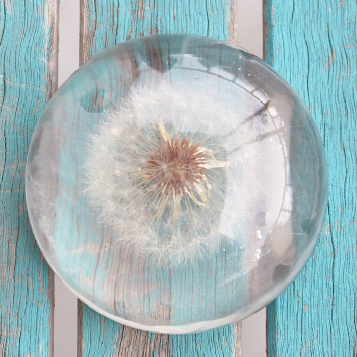 casting objects in resin paperweights diy tutorial (8) via @resincraftsblog