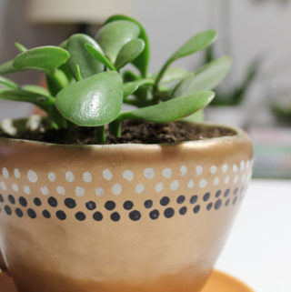 diy coffee mug planter | diy planter | easy sculpt planter | easysculpt planter | diy coffee mug | easysculpt coffee mug | easy sculpt coffee mug