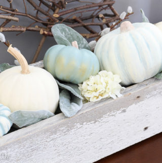 decorative-pumpkins-6805