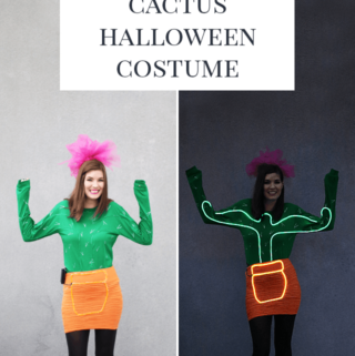 DIY-Cactus-Halloween-Costume