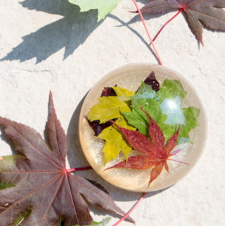Make a gorgeous paperweight with late summer maple leaves and resin! A thoughtful gift idea for a co-worker, boss or teacher. Step-by-step tutorial for this nature-inspired DIY office decor idea included!