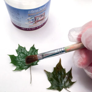 Coating leaves for DIY resin paperweights