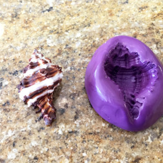seashell3-mold-created