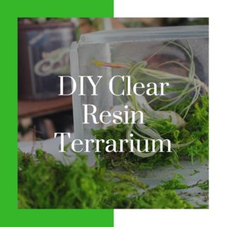 diy clear resin terrarium