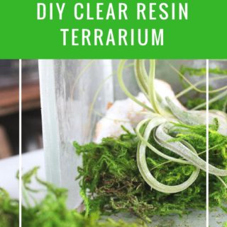 diy clear resin terrarium tutorial