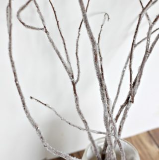 how-to-make-your-own-iced-branches