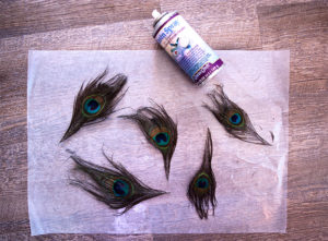Prepare the feathers with Resin Spray before Casting them inside the Resin