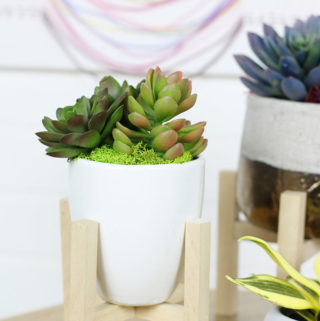 Resin Crafts Blog | Decorating with Plants | DIY Planters | Plants | Greenery | Home Decor | DIY Home Decor | DIY Spring Decor |