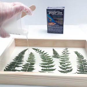 pressed fern and resin plaque