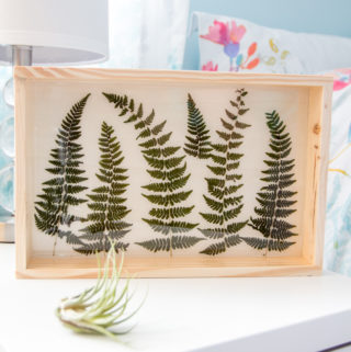 pressed fern and resin plaque