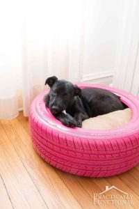 Resin Crafts Blog | Pet DIY | Pets | DIY Decor | DIY Furniture | Pet Supplies |
