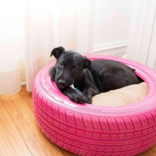 DIY-Dog-Bed-From-A-Tire-3-800x1200