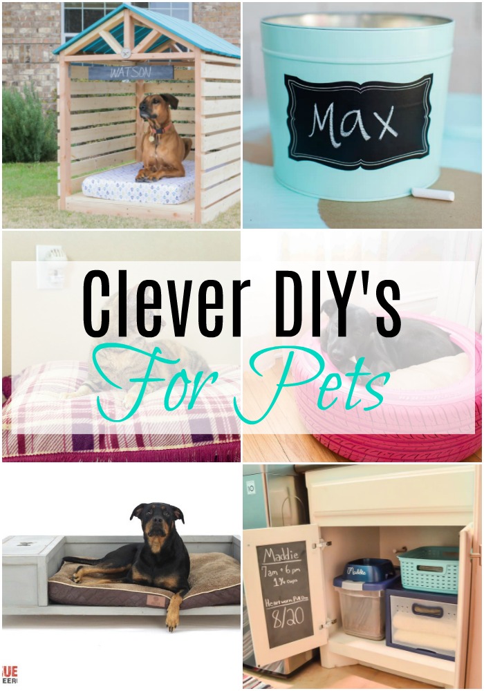 Clever DIY’s for Pets via @resincraftsblog