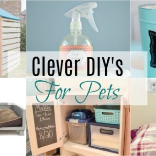 Clever DIY's for Pets
