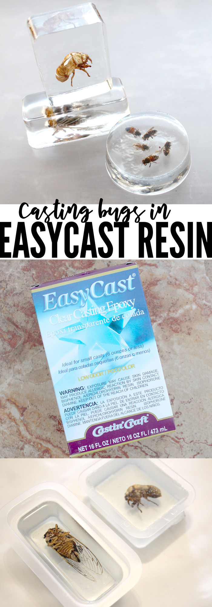 Insects Cast in EasyCast Clear Casting Epoxy via @resincraftsblog