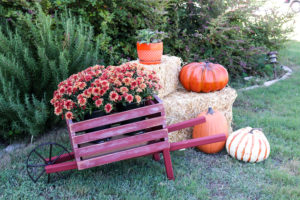 Resin Crafts Blog | DIY Decor | Outdoor Decor | Autumn Decor | Fall Decor |