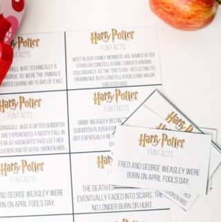 Harry-Potter-Fun-Facts1-700x467