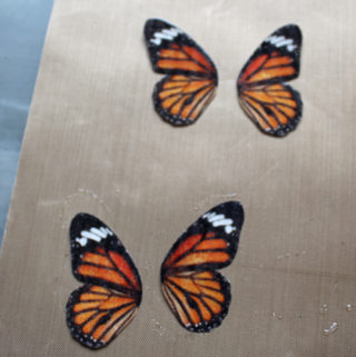 butterfly wing resin earrings (2)