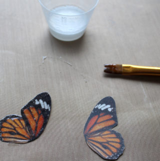 butterfly wing resin earrings (3)