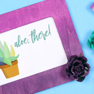 Painted Frame with Faux Succulents social media
