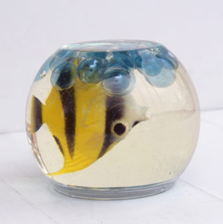 fish in resin fishbowl easy to care for pet (1)