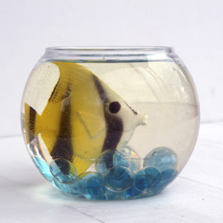 fish in resin fishbowl easy to care for pet (2)
