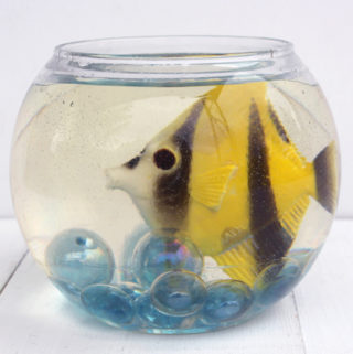 fish in resin fishbowl easy to care for pet (3)