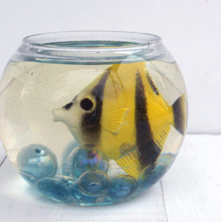 fish in resin fishbowl easy to care for pet (4)
