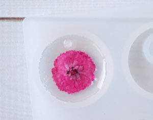 press dried flower into gelled resin