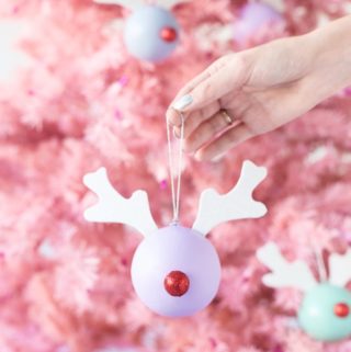 Rudolph-Ornaments-8-600x900