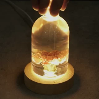 the-final-product-of-a-flowers-in-resin-project-which-is-a-bottle-shaped-lamp-with-a-flower-in-it