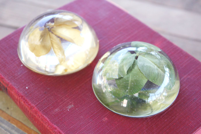 Four Leaf Clover Resin Paperweight!