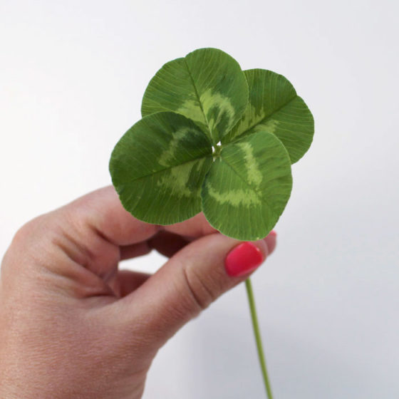 Four Leaf Clover Resin Paperweight DIY Resin Crafts