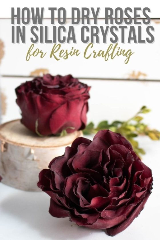 Dryingrosesinsilicacrystals Resin Crafts Blog