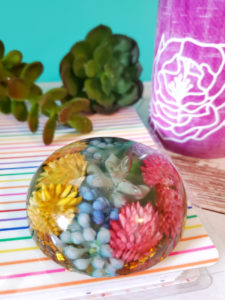 succulent resin paperweight