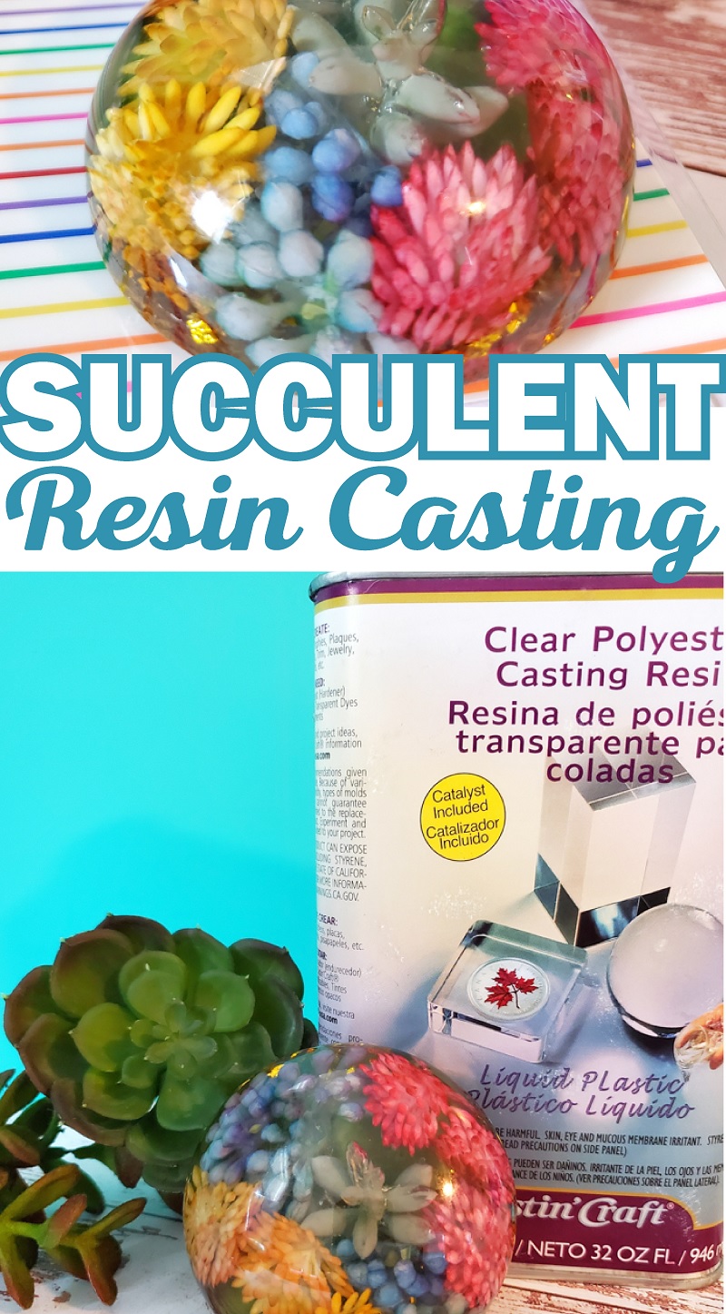 Learn how to embed an item in ETI Clear Polyester Casting Resin, like this dome resin mold with succulents. via @resincraftsblog