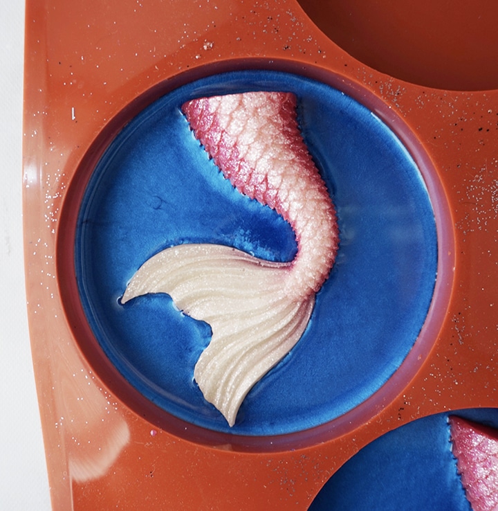 Resin Mermaid Tail in Coaster